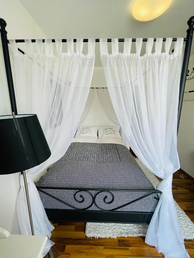 Little Cute Homey Apartman Satu Mare Dış mekan fotoğraf