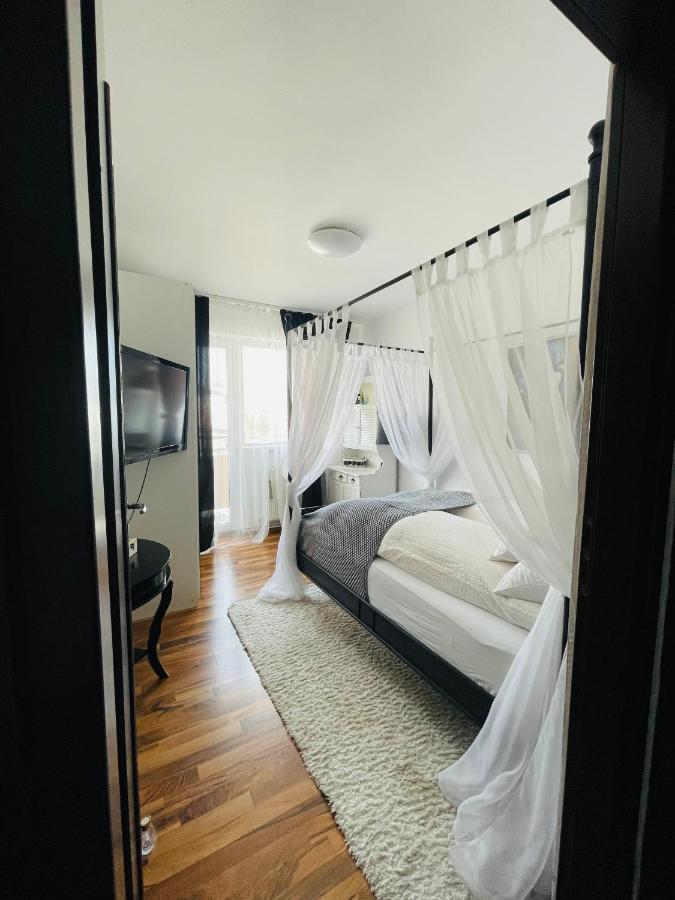 Little Cute Homey Apartman Satu Mare Dış mekan fotoğraf