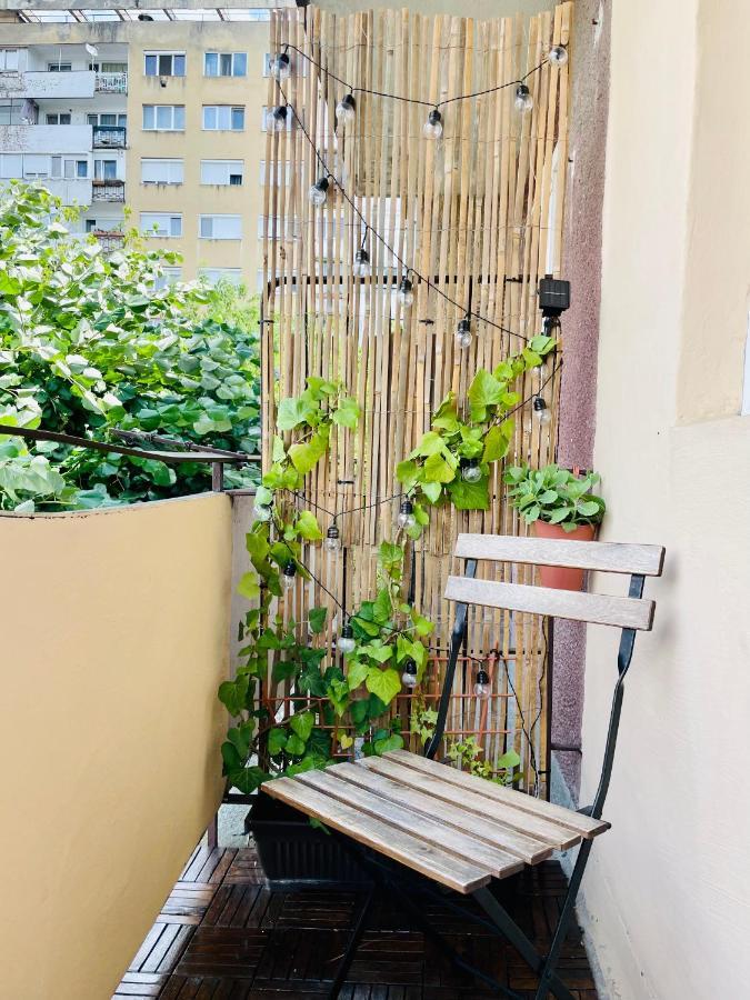 Little Cute Homey Apartman Satu Mare Dış mekan fotoğraf