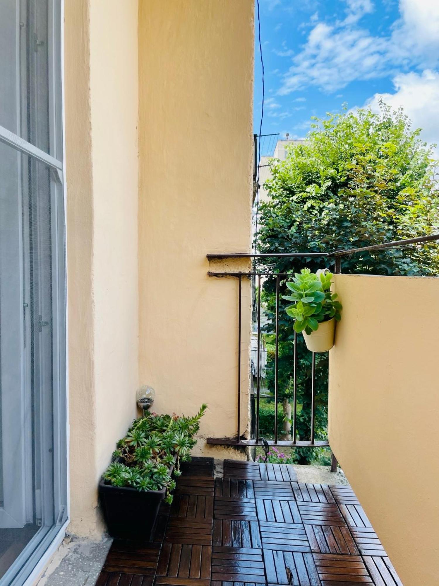 Little Cute Homey Apartman Satu Mare Dış mekan fotoğraf