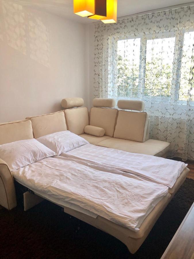 Little Cute Homey Apartman Satu Mare Dış mekan fotoğraf