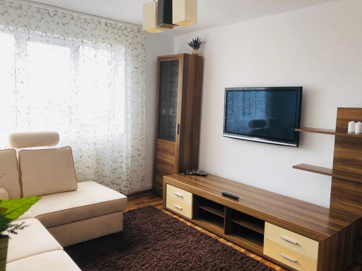 Little Cute Homey Apartman Satu Mare Dış mekan fotoğraf