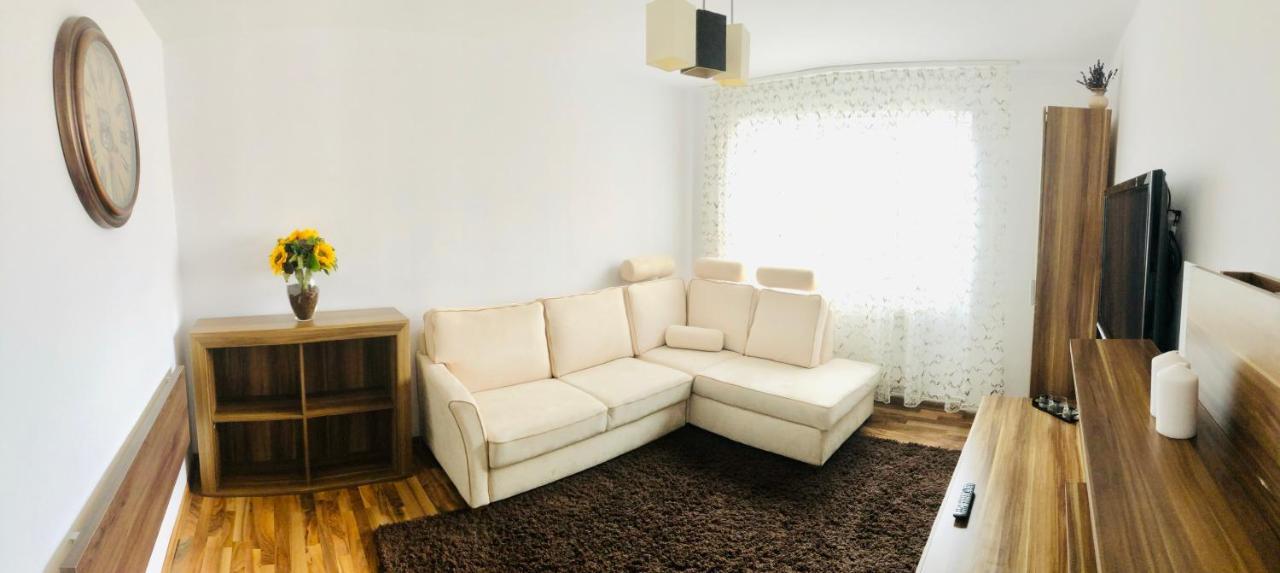 Little Cute Homey Apartman Satu Mare Dış mekan fotoğraf